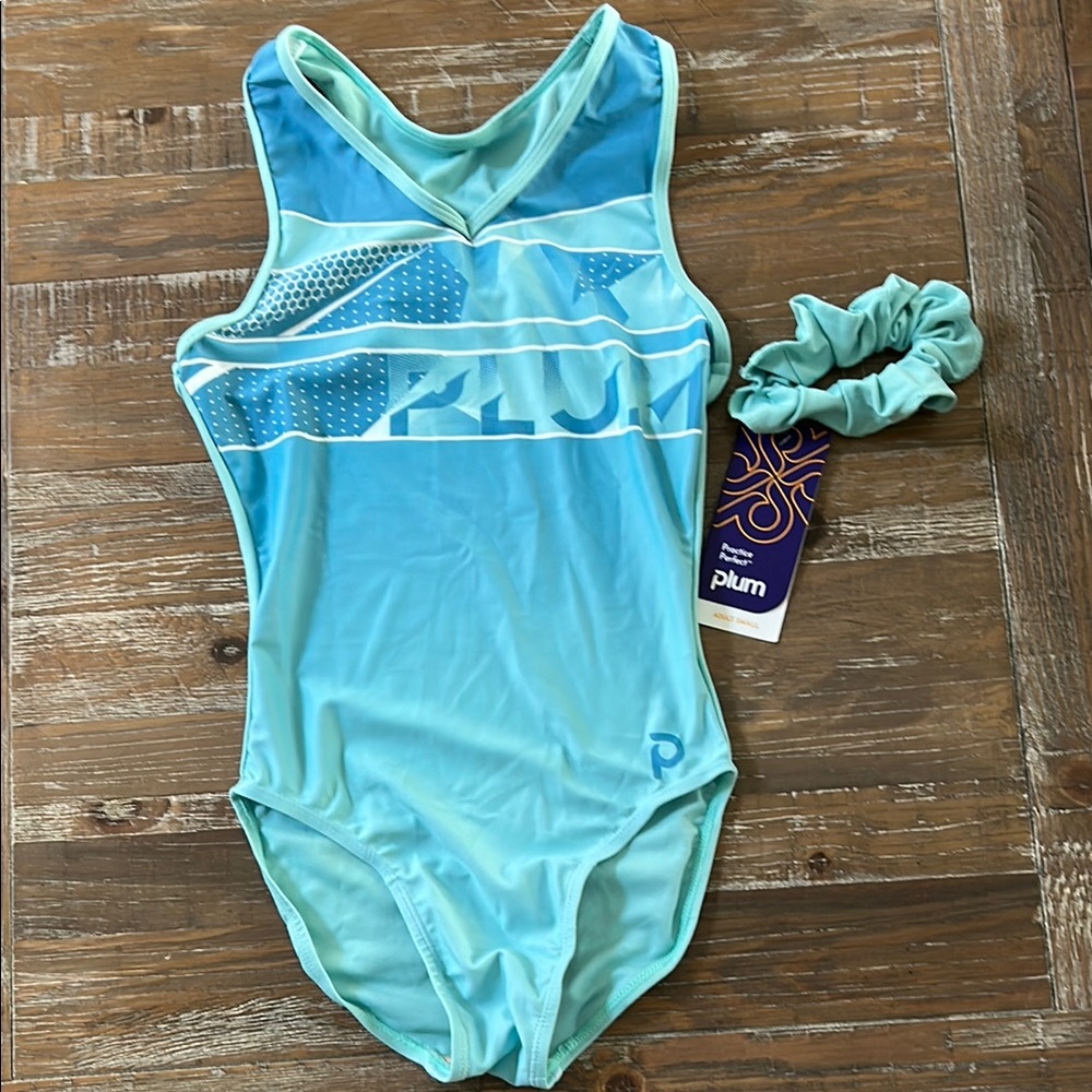 Plum Aqua Leotard with Scrunchie NWT